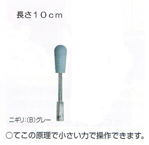 ubNu[L_10cm@1{PʁyԂtizyJTCNz