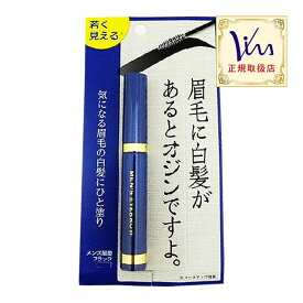 【お代金が半額チャンス4/21 9:59迄】 ビナ薬粧 メンズ眉墨 （ブラック） ／ サロン専売品 メイクアップ