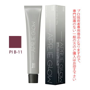 【\当選確率2分の1/最大100%ポイントバック10/27 9:59迄】ホーユー プロマスター アプリエグロー PI B-11 ピンクブラウン 80g 医薬部外品