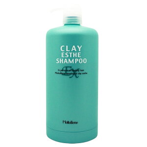 y11/1_Im21^ő100%|CgobNzgx[l NCGXe Vv[ uEXv pl֋|v 1000mL ^ Moltobene Tꔄi wAPA