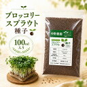 【 内容量 100ml 】ブロッコリースプラウト 専用 種子 100ml スルフォラファン 高含有種子 高発芽率 発芽後 3日 で収…