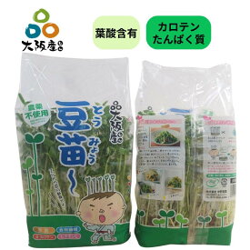 【 スプラウト 大阪産(もん) 】 豆苗 えんどう豆の 新芽 10パック 葉酸 含有 栄養価の高い 発芽野菜 葉物野菜 産地直送 大阪府産 無農薬栽培 炒め物 お鍋 具材 サラダ におススメ 生でも加熱しても美味しい豆苗 2度目の収穫もできる 自由研究 にも 中野農園