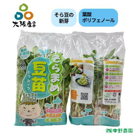 【 スプラウト 大阪産(もん) 】 そらまめ 豆苗 そら豆の 新芽 10パック 葉酸 イソフラボン ポリフェノール 含有 栄養価の高い 発芽野菜 葉物野菜 産地直送 大阪府産 無農薬栽培 炒め物 お鍋 具材 サラダ におススメ 加熱しても小さくなりにくい 空心菜の替わりに 中野農園