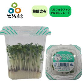 【 スプラウト 大阪産(もん) 】 ブロッコリースプラウト ブロッコリーの芽 10パック ブロッコリー 新芽 スプラウト スルフォラファン グルコシノレート 葉酸 含有 栄養価の高い 野菜 生産者 直送 大阪府産 無農薬栽培 サラダ 朝食 スムージー におススメ 中野農園