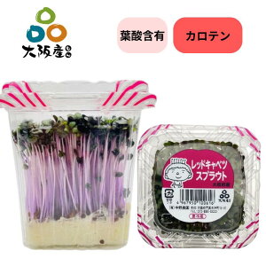 y XvEg Y() z bh Lxc XvEg gLxc V 10pbN t_ Je ܗL h{̍   Y  {Y _͔| T_ X[v Jp