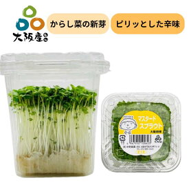 【 スプラウト 大阪産(もん) 】 マスタード スプラウト マスタードの新芽 10パック 黄 からし菜 新芽 栄養価の高い 発芽野菜 生産者 直送 大阪府産 無農薬栽培 サラダ サンドウィッチ 料理のアクセント 納豆に混ぜるのもおすすめ からしの香りがツンと爽やか 中野農園