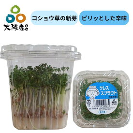 【 スプラウト 大阪産(もん) 】 クレス スプラウト ガーデンクレスの 新芽 10パック コショウ草 新芽 栄養価の高い 発芽野菜 生産者 直送 大阪府産 無農薬栽培 サラダ カルパッチョ ソテーの付け合わせ コショウ のようなピリッとした刺激 お肉に合う 中野農園
