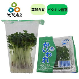 【 スプラウト 大阪産(もん) 】かいわれ 大根 大根の新芽 葉酸 含有 栄養価の高い 実はスーパーフード 発芽野菜 産地直送 大阪府産 無農薬栽培 薬味 サラダ におススメ マヨネーズと合わせると辛みがマイルドに さっとゆでるとさらに食べやすい 中野農園