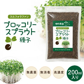 【内容量が変わっています】200ml ブロッコリースプラウト 専用 種子 スルフォラファン 高含有種子 高発芽率 超硫黄分子 説明書付き プロが使用 栄養 満点 自宅で簡単 無農薬 無消毒種子 中野農園 ロハス LOHAS アンチエイジング【 メール便送料無料 】