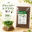 【 内容量 200ml 】 ブロッコリースプラウト 専用 種子 スルフォラファン 高含有種子 高発芽率 超硫黄分子 発芽後 3日…