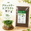 【 お試し価格 50ml 】 ブロッコリースプラウト 専用 種子 50ml スルフォラファン 高含有種子 高発芽率 発芽後 3日 で…