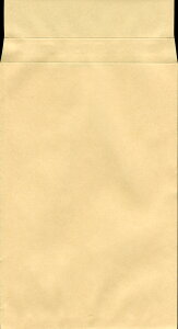  Ntg Mdi () Ntg 70g Z^[\ gȂ (X`bNЕt) 500 j2103