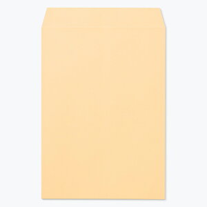 p2  pXeJ[ nCV[ pXe IW 100g 500 gȂ R\ kr6239