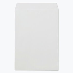 p2  pXeJ[ Vo[ 100g 500 gȂ R\ kr0247