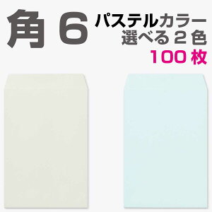  p6 pXeJ[ 100 gȂ Iׂ2F | J[ GNZgJ[ 100g A5 `X֕