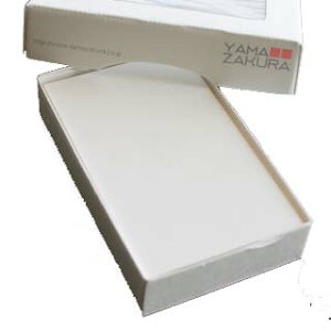 h 4 NC[ 100 /  y  Ȃ@̔̔ł z y4 X^_[h@z