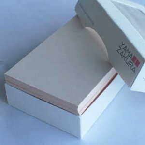 h 4 EC102 sN 100 /  y  Ȃ@̔̔ł z y4 ECJ[@z