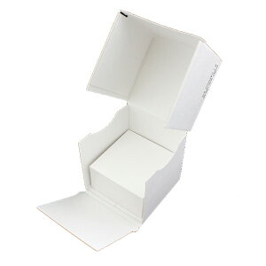 h mini(49x49) zCgCoC 025 100 /  y  Ȃ@̔̔ł z y mini ~j ^ TCY z