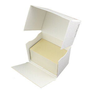 h mini(40x66) nCp[ zCg 100 /  y  Ȃ@̔̔ł z y mini ~j ^ TCY z