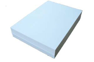 h 10ʕt 220 G[g y  Ȃ@̔̔ł zy10ʕti A4 TCY j X^_[h 220 z̏i͐؂~VH܂B