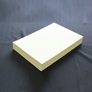 h 10ʕt 220  N[CoC 021 y  Ȃ@̔̔ł zy10ʕti A4 TCY j GVJi 220 z̏i͐؂~VH܂B