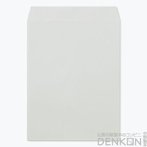  p3 J[ XJC 85 gȂ \ 500