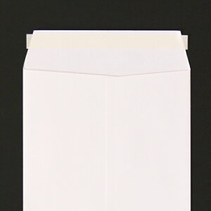   3 e[vX`bN Pg 100g Z^[\ g 400 nw4323