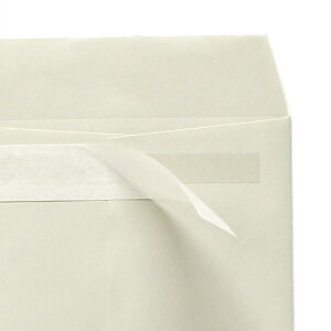  pXeJ[ 3 nCV[ pXe O[ 80g Z^[\ g 500 np6316