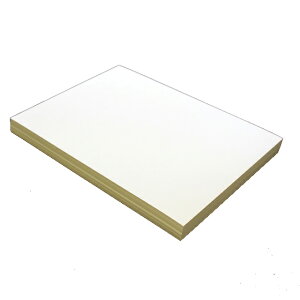 h 20ʕt [100]  N[CoC 023yȂ@̔̔łzy20ʕt GVJiz̏i͐؂~VH܂B