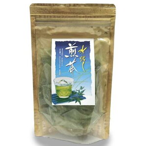 守半海苔 守半 水出し煎茶 【ティーバッグ】12袋 煎茶 お茶 贈答 ギフト 敬老の日 2023