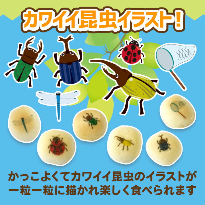 楽天市場 当店でしか買えません 子供 が 喜ぶ お 菓子 昆虫ボーロ 25g 2個セット たまごボーロ 卵ボーロ 赤ちゃん ベビー 子供 男 男子 キッズ お菓子 虫 昆虫 好き チョコ ぬいぐるみ グッズ 誕生日プレゼント ギフト 23 メール便送料無料 なかのふぁくと