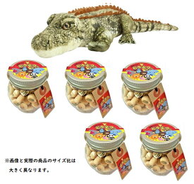 楽天市場 ワニ スイーツ お菓子 の通販 楽天市場 ワニ スイーツ お菓子 の通販