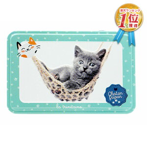 L 킢  NbL[ Egje[k Lbc O[iLbcEO[j (Kbg/pbgl) 350g NbL[ ˂ lR  Lbg Aj} fR Aj} 