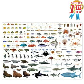 迫力の特大ポスター 水族館の人気者 ポスター ( H594×W841mm ) A1サイズ 水族館 魚 海の生き物 生き物 インテリア 子供 男 グッズ 誕生日 誕生日プレゼント 敬老の日 2023 送料無料