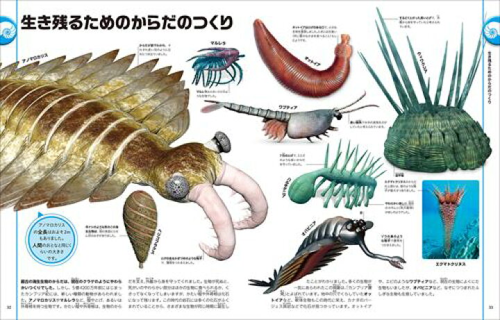 楽天市場 恐竜と古代の生き物図鑑 判変型 8頁 創元社 恐竜 きょうりゅう ダイナソー 古代生物 地図 図鑑 本 書籍 子供 男 男の子 女 女の子 喜ぶ グッズ クリスマス クリスマスプレゼント 22 送料無料 なかのふぁくとりー 楽天市場店