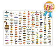 お風呂に貼れる 迫力の特大ポスター 海魚大全 ポスター ( H594×W841mm ) A1サイズ 魚 さかな サカナ 水…