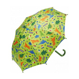 y2FIׂzqp JpP 45cm (O[/CG[) fBmTEX DINOSAURS  XP[^[(Skater) O^Ot ~J MǑ΍  P JP q j̎q ̎q