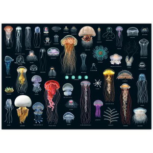 Cɓ\ ͂̓|X^[ CS |X^[ ( H594×W841mm ) A1TCY NQ 炰  C  CeA q j j̎q  ̎q  ObY  ObY a av