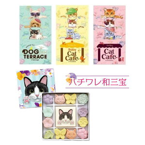 yeB[^CZbgzaO~ n`aO (aO~) & LbgJtF Baby Cat Cafe xr[LbgJtF  hbOeX eB[ueBbN g eB[obO e2g ×3pbN ( AbT