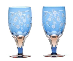 `̍]ː؎q l tr[t2 170ml t u  { Ē   a v[g j j j i Mtg hV̓ 