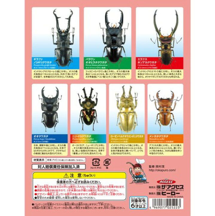 楽天市場 立体昆虫図鑑 世界のクワガタ 世界のカブトムシ 2個セット フィギュア クワガタ カブトムシ 昆虫 虫 インテリア 子供 男 男の子 女 女の子 喜ぶ グッズ 誕生日 誕生日プレゼント クリスマス クリスマスプレゼント 21 なかのふぁくとりー 楽天市場店