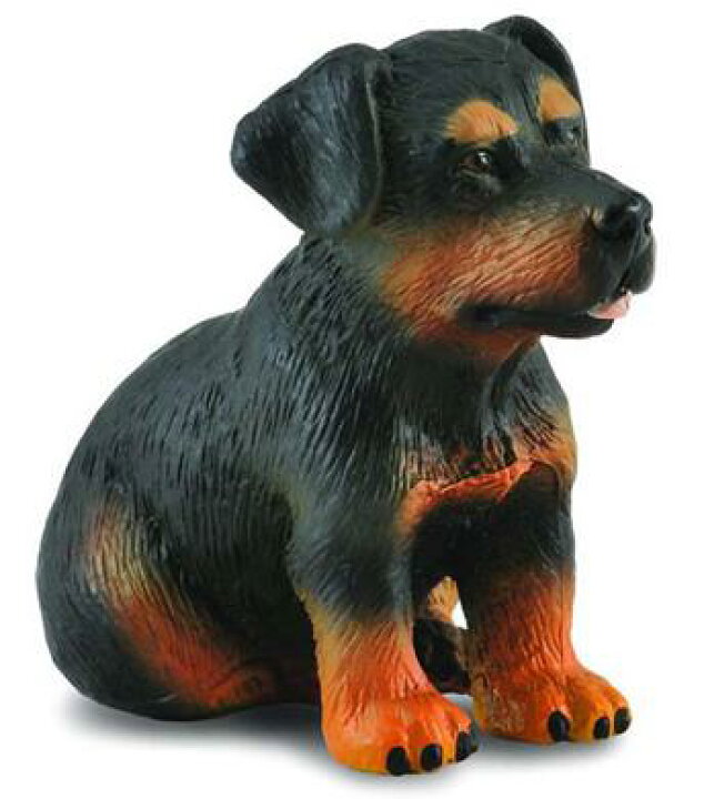 楽天市場 Collecta コレクタ ドック ロットワイヤー 仔犬 190 犬 いぬ イヌ Dog ロッティ ロットワイラー メッツガーフンド 子犬 こいぬ アニマル 動物 フィギュア おもちゃ セット 子供 男 グッズ 誕生日 誕生日プレゼント 母の日 22 なかのふぁくとりー