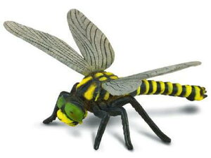 collecta iRN^j  Ij} 88350 g{ Ƃ x hStC tBMA  Zbg q j ObY a av[g hV̓ 2023