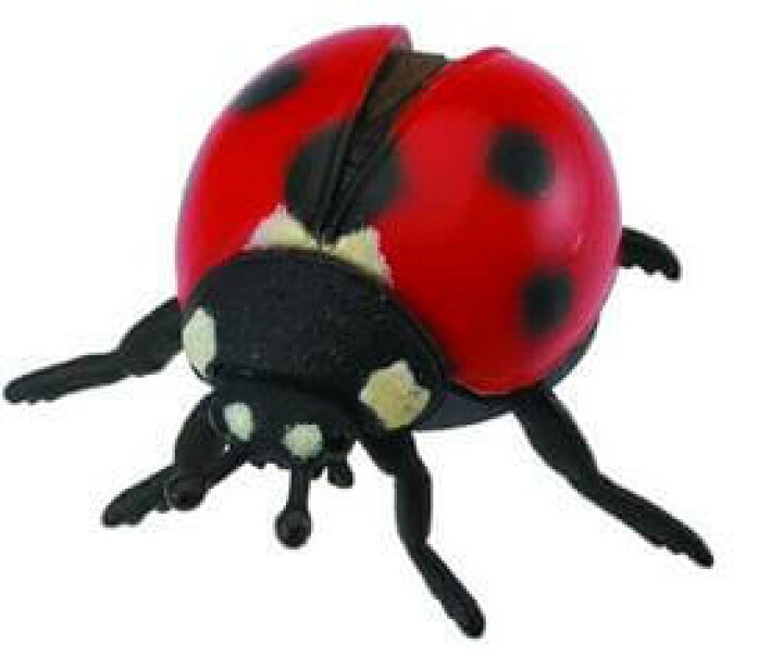 楽天市場 Collecta コレクタ 昆虫 テントウムシ 474 むし てんとう虫 天道虫 てんとうむし フィギュア おもちゃ セット 子供 男 グッズ 誕生日 誕生日プレゼント 母の日 22 なかのふぁくとりー 楽天市場店