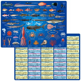 楽天市場 深海魚 グッズの通販