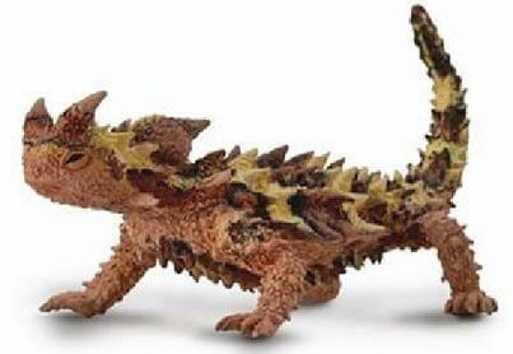 楽天市場 Collecta コレクタ 爬虫類 モロクトカゲ 753 トゲトカゲ トカゲ とかげ 蜥蜴 リザード フィギュア おもちゃ セット 子供 男 グッズ 誕生日 誕生日プレゼント 母の日 22 なかのふぁくとりー 楽天市場店 楽天市場 Collecta コレクタ 爬虫類 モロクトカゲ 753 トゲトカゲ トカゲ とかげ 蜥蜴 リザード フィギュア おもちゃ セット 子供 男 グッズ 誕生日 誕生日プレゼント 母の日 22 なかのふぁくとりー 楽天市場店