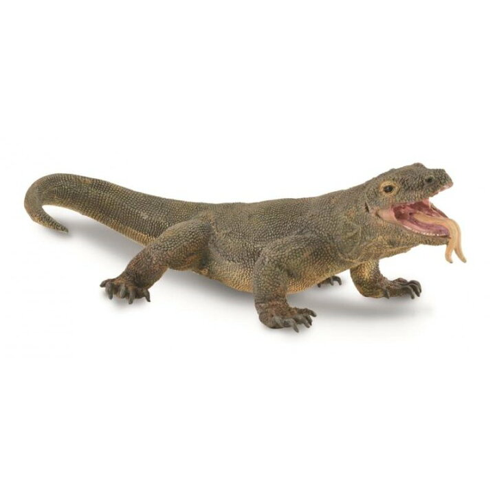 楽天市場 Collecta コレクタ 陸の動物 コモドドラゴン 80 ドラゴン とかげ トカゲ 蜥蜴 爬虫類 ガラパゴス 爬虫類 フィギュア おもちゃ セット 子供 男 グッズ 誕生日 誕生日プレゼント バレンタインデー 22 なかのふぁくとりー 楽天市場店