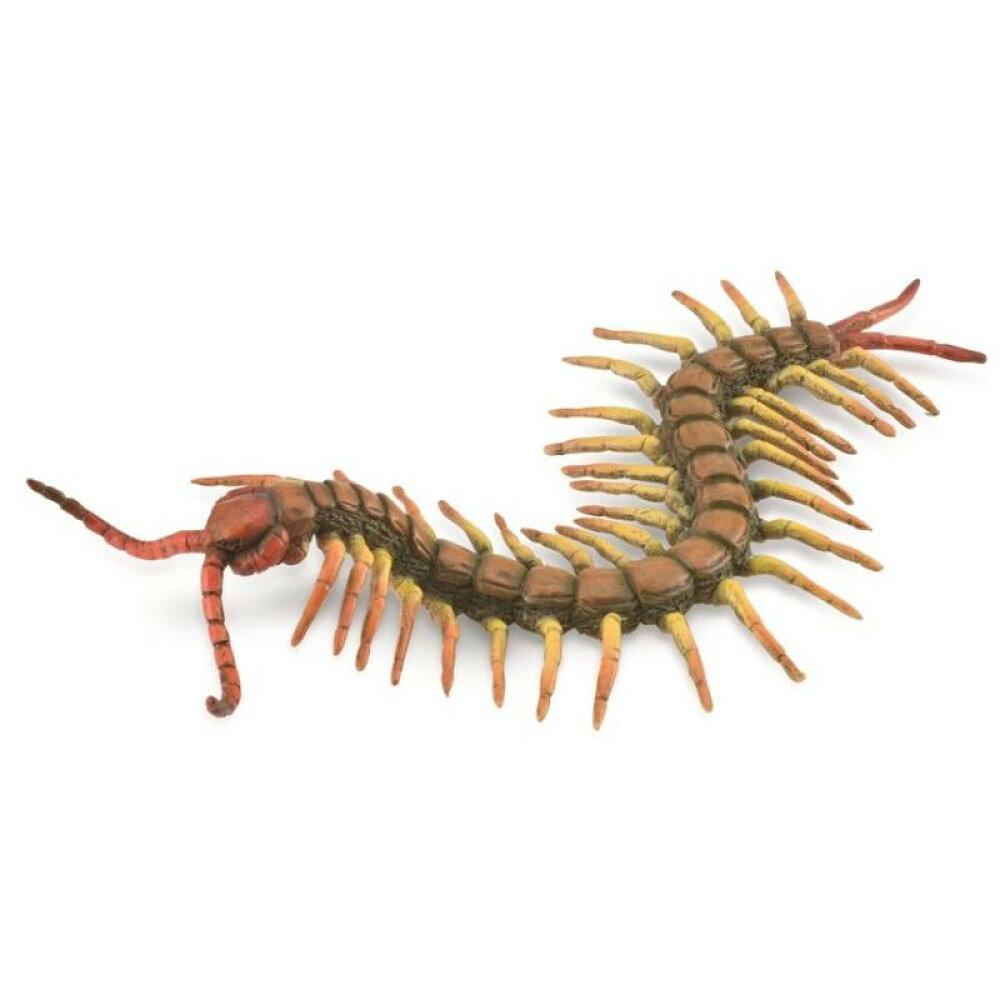 楽天市場 Collecta コレクタ 爬虫類 モロクトカゲ 753 トゲトカゲ トカゲ とかげ 蜥蜴 リザード フィギュア おもちゃ セット 子供 男 グッズ 誕生日 誕生日プレゼント お中元 21 なかのふぁくとりー 楽天市場店