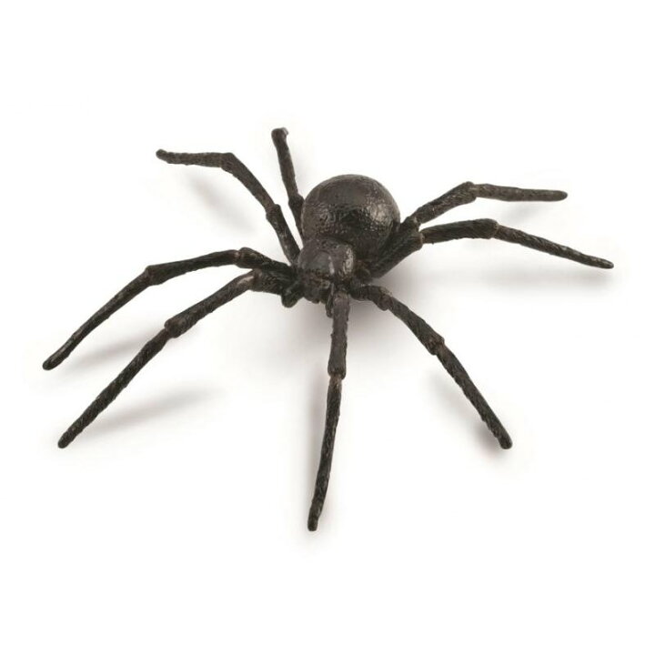楽天市場 Collecta コレクタ 昆虫 クロゴケグモ 4 クモ くも 蜘蛛 スパイダー フィギュア おもちゃ セット 子供 男 グッズ 誕生日 誕生日プレゼント ホワイトデー 22 なかのふぁくとりー 楽天市場店