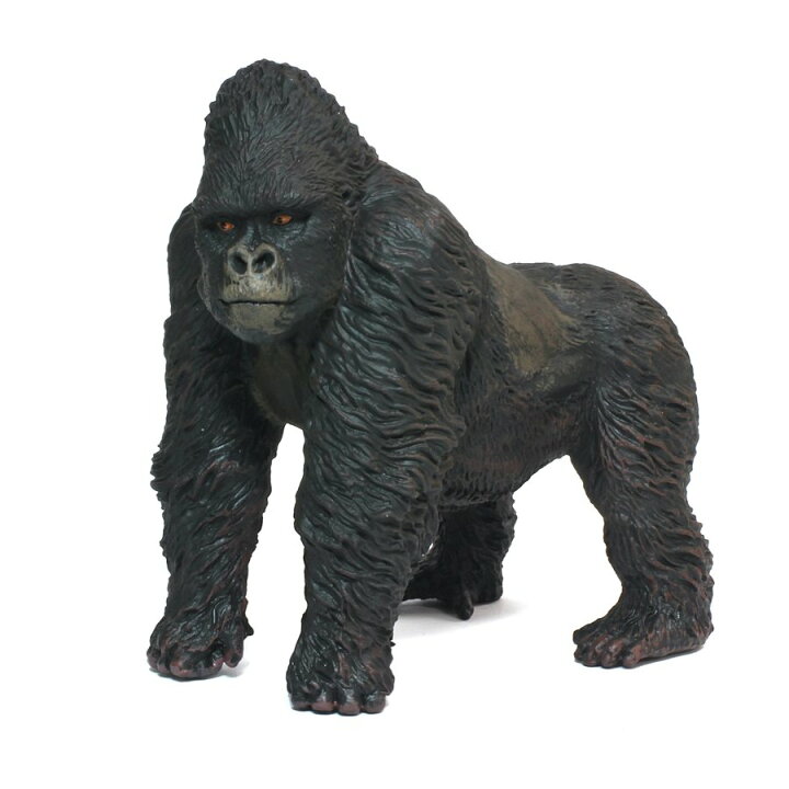 楽天市場 Collecta コレクタ 陸の動物 マウンテンゴリラ 9 ゴリラ ごりら ニシゴリラ ヒガシゴリラ サル アニマル 動物 どうぶつ 動物園 フィギュア おもちゃ セット 子供 男 グッズ 誕生日 誕生日プレゼント 母の日 22 なかのふぁくとりー 楽天市場店